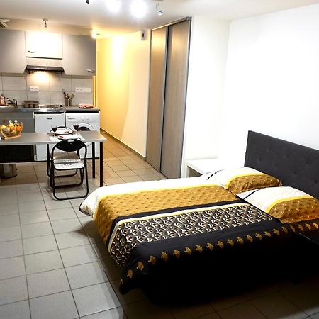 Charmant Studio Centre Ville Le Puy-en-Velay Zewnętrze zdjęcie